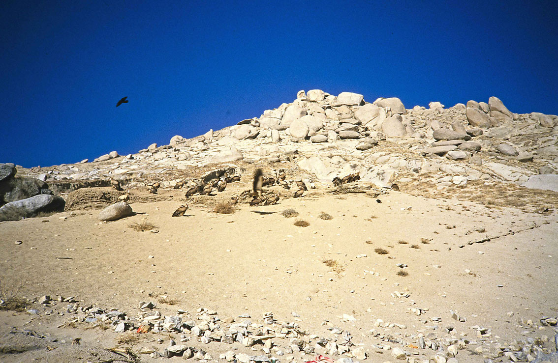 bea 2012 02 28 13.26.42